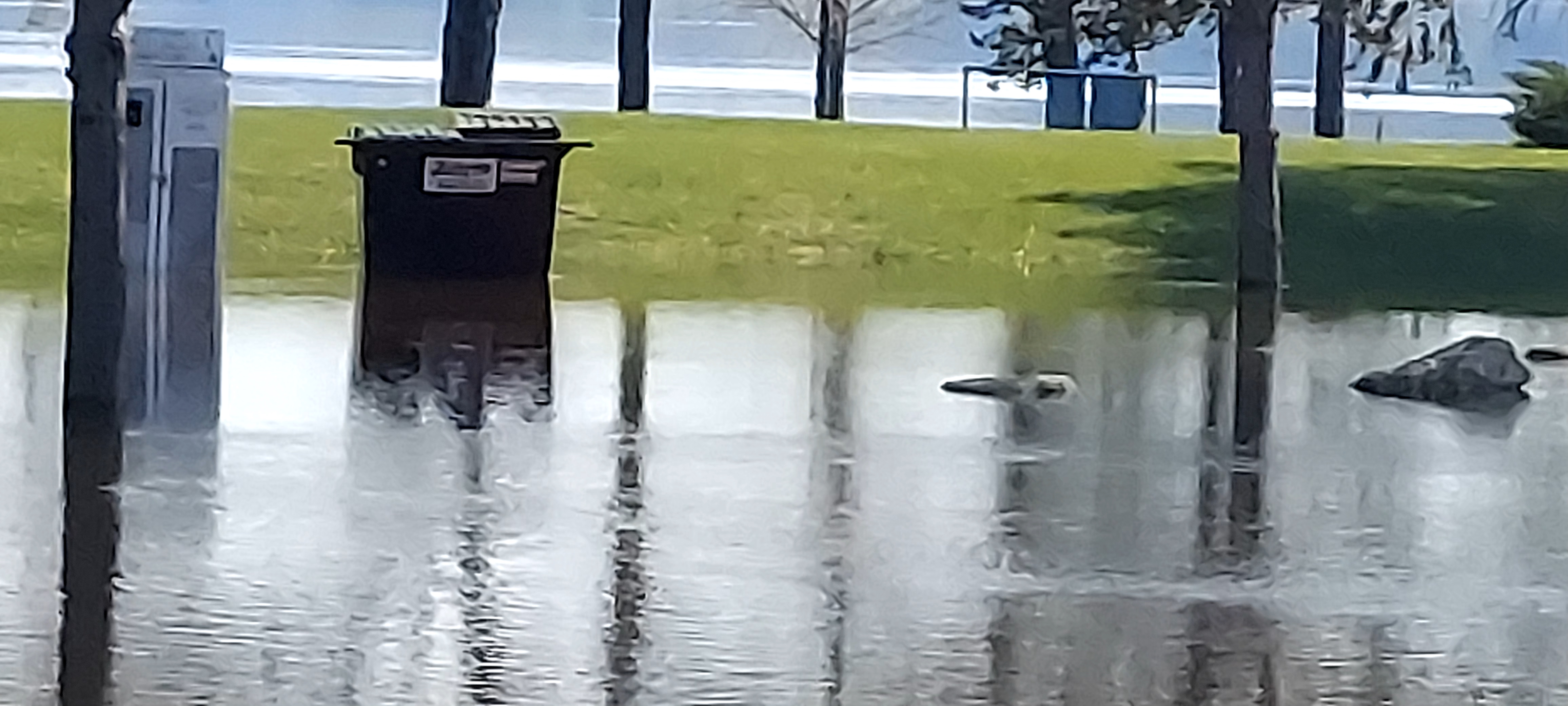 Photos By John Haas Of The Grant River Recreation Area Campground